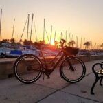 E-Bike Rental - 2 Hour Rental in Historic Downtown Sanford - Who Will Love This Experience?