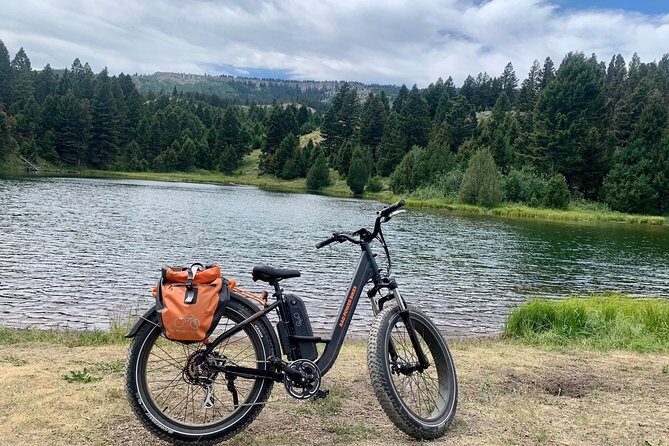 E-Bike Tours in Yellowstone National Park - Who Should Consider This Tour?