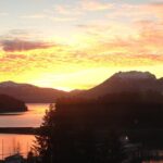 Ear Mountain Charters tours: whale watching or fishing - Itinerary Breakdown & What to Expect