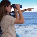 Early Bird Whale Watching Cruise from Waikiki - Who Is This Tour For?