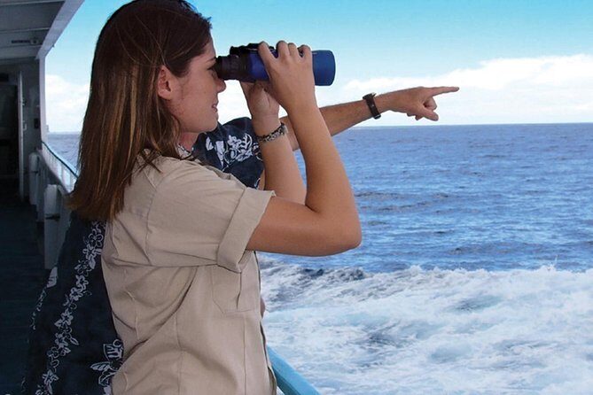 Early Bird Whale Watching Cruise from Waikiki - Who Is This Tour For?