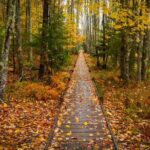 East Coast USA: Self-Guided Driving & Walking Tour Bundle - What’s the Experience Like?