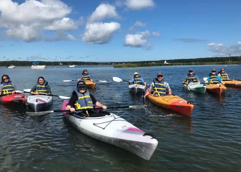 East Sandwich: Scorton Creek Nature Kayak Tour - Final Thoughts: Is This Tour for You?