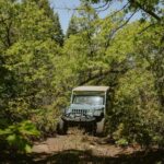 East Zion: Brushy Cove Jeep Adventure - What to Expect and Practicalities
