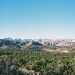 East Zion Outback UTV Tour with Licensed Guide - Who Is This Tour Best For?