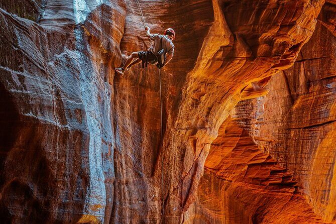 East Zion: Powell's Way Full-Day Canyoneering - What Travelers Say