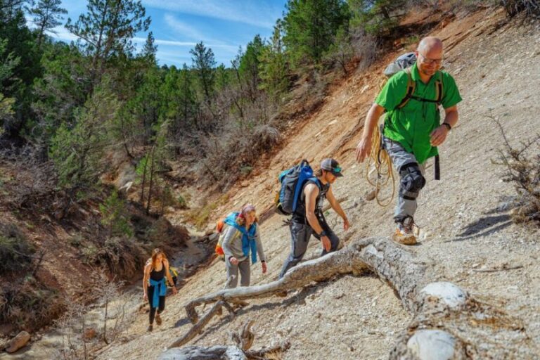East Zion: Stone Hollow Full-day Canyoneering Tour - What is the East Zion: Stone Hollow Canyoneering Tour?