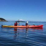 Eastsound: Guided Sucia Island Kayak Tour & Day Trip - What’s Good and What’s Not?