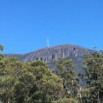 Easy Bike Tour - Mt Wellington Summit Descent & Rainforest Ride - Group Size, Duration, and Logistics