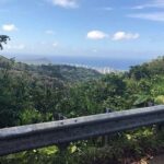 Easy Private Hike in Honolulu (Choose 1 of 2 trails) 2-4hrs - The Trails: An Overview