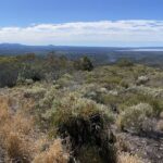 eBike Noosa Sightseeing Tour - New! - The Logistics: What to Expect