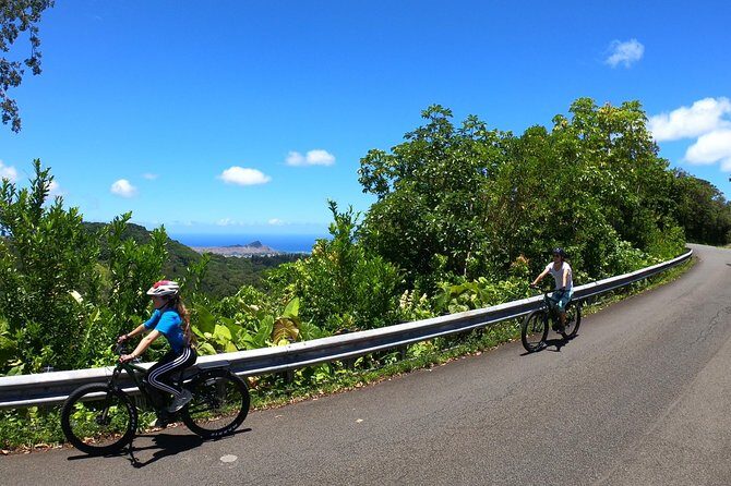 eBike Tour Honolulu Rainforest - Who Is This Tour Best For?
