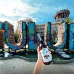 Eco Adventure At 3 Cenotes & 1 Lagoon ! From Cancun & Riviera - What the Experience Looks Like