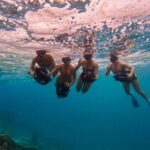 Eco Friendly Sea Scooter Turtle Tour in Rarotonga - The Value of the Tour