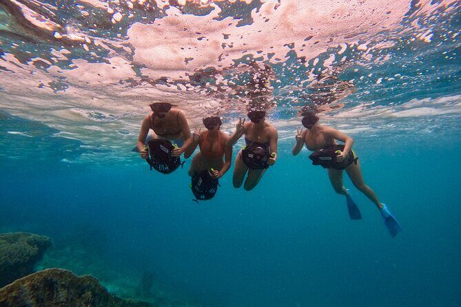 Eco Friendly Sea Scooter Turtle Tour in Rarotonga - The Value of the Tour