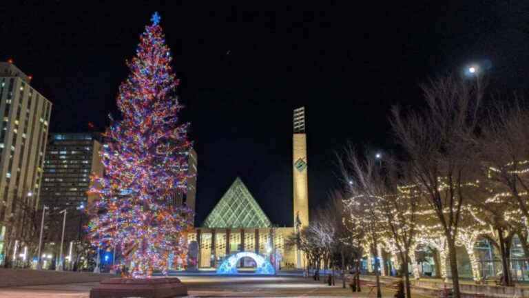 Edmonton: Festive Private Christmas Walking Tour - Is It Worth the Price?