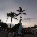 Educational and fun Private City tour- Puerto Vallarta - The Itinerary: What to Expect from Start to Finish