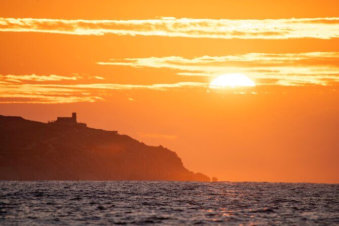 Educational Sunrise Whale Watching with Photos Included - What the Reviews Say