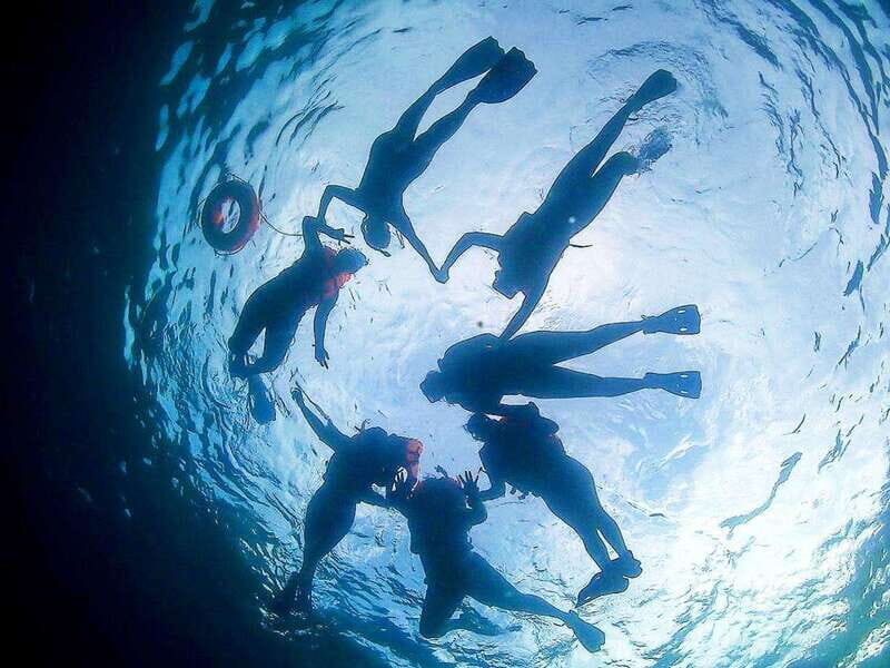 El Cabo: Incredible Private Tour to Espiritu Santo - Highlights of the Tour