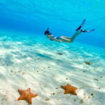 El Cielo Cozumel private snorkel tour - Who Should Consider This Tour?