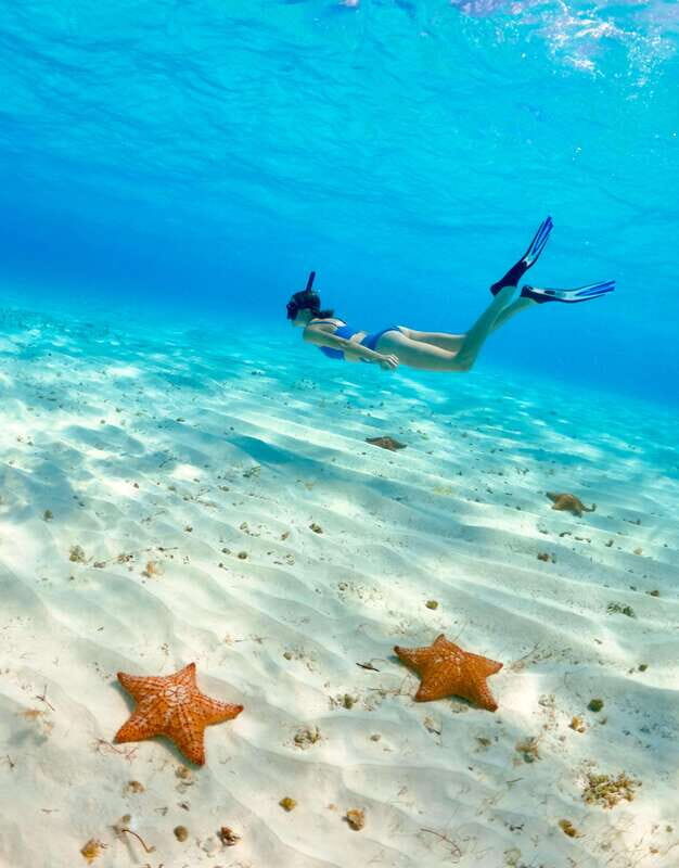 El Cielo Cozumel private snorkel tour - Who Should Consider This Tour?