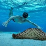 El Cielo the Breathtaking Snorkel Tour of Cozumel Cielito Beach & Lunch Included - Who Should Book This Tour?