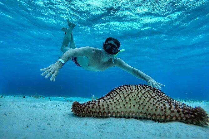 El Cielo the Breathtaking Snorkel Tour of Cozumel Cielito Beach & Lunch Included - Who Should Book This Tour?