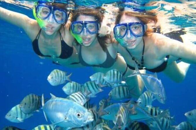 El Cielo Tour with Reef Snorkeling from Cozumel - The Value of the Tour