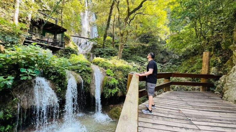 El mejor Tour a Cola de Caballo + Guía + Traslado + Tickets - The Waterfalls: A Natural Wonder