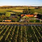 Elderton Chocolate And Wine Matching - The Setting and Atmosphere