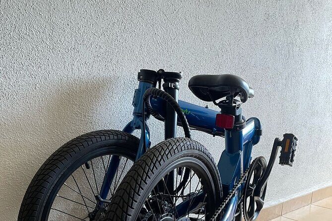 Electric Bicycle Tour - Who Should Consider This Tour?