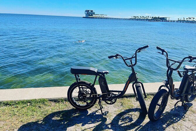 Electric Bike Day Rental - Who Should Consider This?
