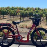Electric Bike Rental in Livermore - Who’s It Best For?