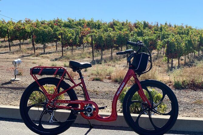 Electric Bike Rental in Livermore - Who’s It Best For?