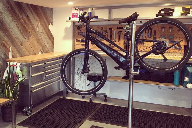 Electric Bike Rental in Morro Bay - Who Should Consider This Experience?