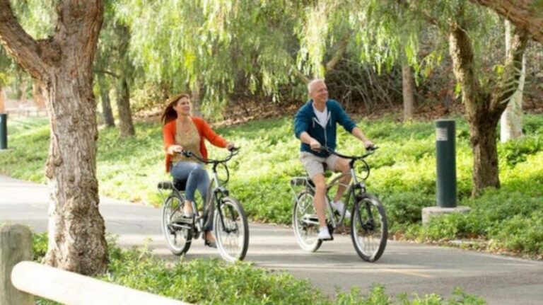 Electric Bike Rentals Leesburg, VA: Full Day or Half Day - The Ride Itself: Scenic, Relaxed, and Adaptable