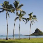 Enchanting Small Group Circle Island Tour Across Oahu Paradise - Who Is This Tour Best Suited For?