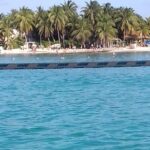 Enjoy an amazing day in Isla Mujeres with snorkeling food, drinks and round trip - Who Is This Tour Best For?