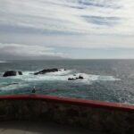 Enjoy La Bufadora and eat the best tacos! - Meeting Points, Timing, and Practicalities