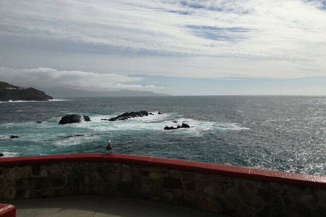 Enjoy La Bufadora and eat the best tacos! - Meeting Points, Timing, and Practicalities