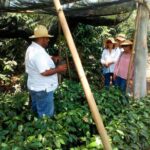 Enjoy the coffee route in Coatepec Magical Town - FAQs