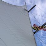 Enjoying A Beautiful Day With Mother Nature Cruises - What the Tour Offers: An In-Depth Look