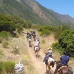 Ensenada: Bajas Hidden Trails: Horseback Ride w/ Ocean View - What the Tour Entails: Trail by Trail