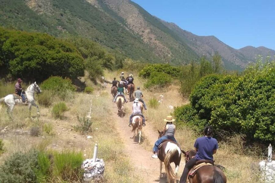 Ensenada: Bajas Hidden Trails: Horseback Ride w/ Ocean View - What the Tour Entails: Trail by Trail