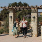 Ensenada: Guadalupe Valley Wine Route Private Tour - Final thoughts