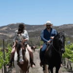 Ensenada: Horseback Riding at the Vineyards - FAQ