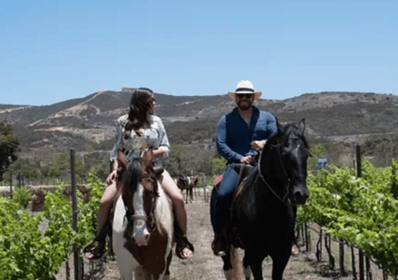 Ensenada: Horseback Riding at the Vineyards - FAQ