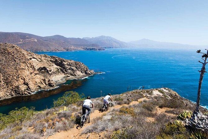 Ensenada, La Bufadora and Guadalupe Valley Private Guided Tour - What Could Be Better
