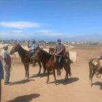 Ensenada: La Bufadora and Playa Hermosa Horseback Riding - Scenic Horseback Riding Along Playa Hermosa