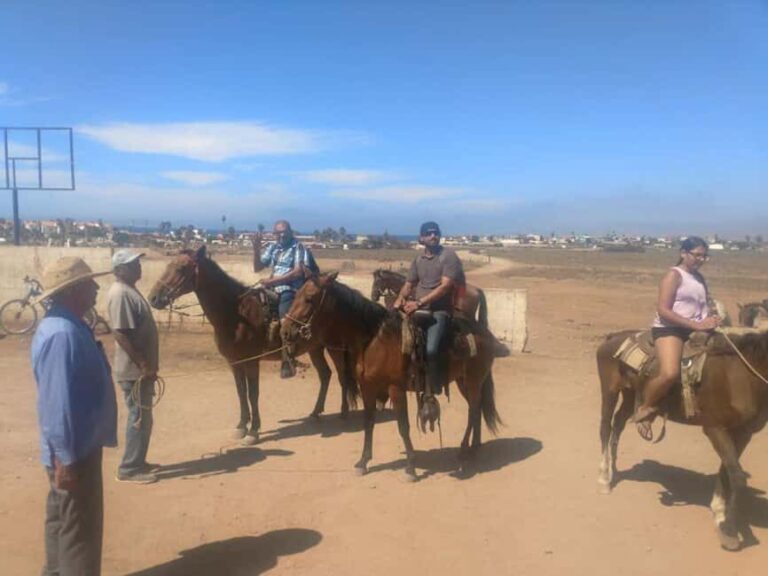 Ensenada: La Bufadora and Playa Hermosa Horseback Riding - Scenic Horseback Riding Along Playa Hermosa